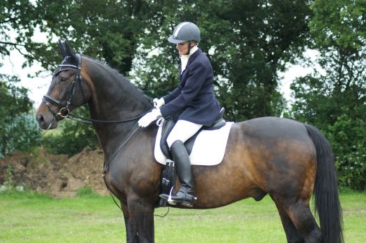 Hickstead 2012