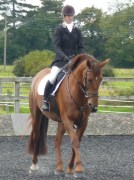 Photo of woman on a horse
